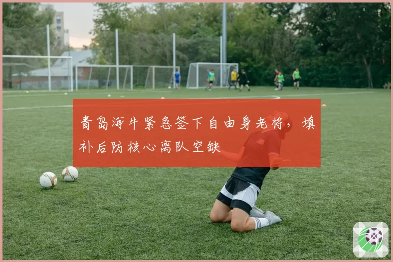 青岛海牛紧急签下自由身老将,填补后防核心离队空缺