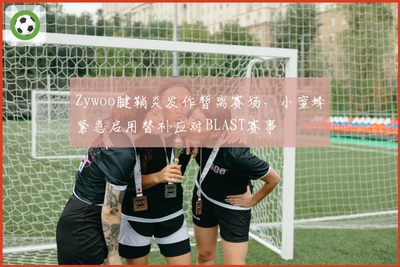 Zywoo腱鞘炎发作暂离赛场,小蜜蜂紧急启用替补应对BLAST赛事