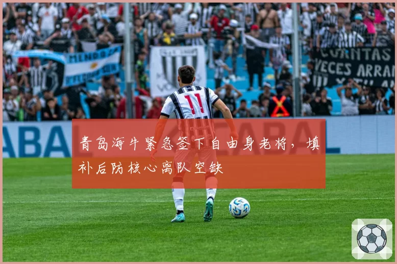 青岛海牛紧急签下自由身老将,填补后防核心离队空缺